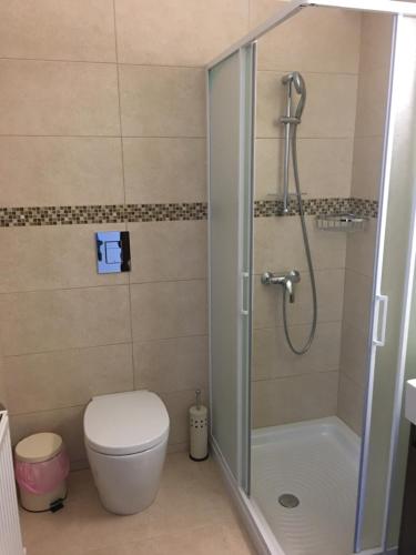 y baño con ducha, aseo y ducha. en Kyperounta Apartment, en Kyperounda