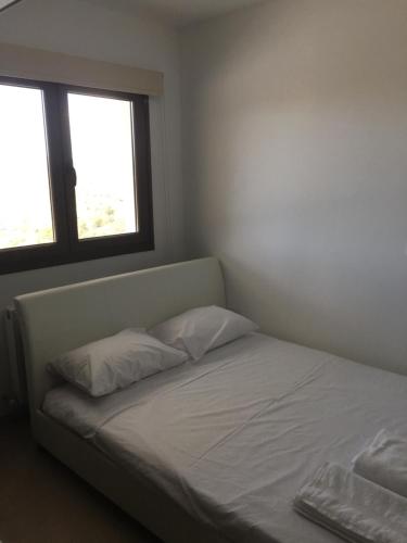 a bed with two pillows in a room with two windows at Kyperounta Apartment in Kyperounda
