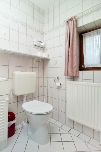 a bathroom with a toilet and a pink towel at Ferienapartments Schnibbe in Bad Lauterberg