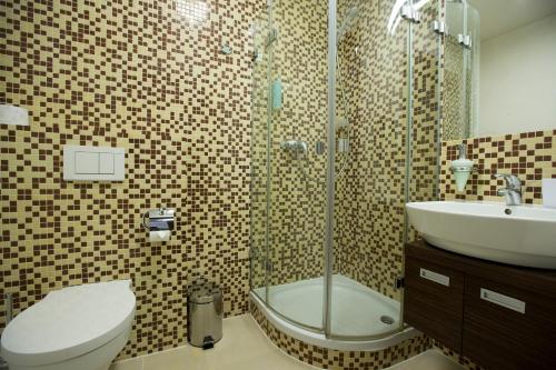 a bathroom with a shower and a toilet and a sink at Willa Port Rezydencje 310 in Ostróda