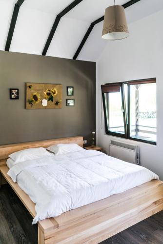 Gambar di galeri bagi Casa Patru Anotimpuri di Dunavăţu de Jos