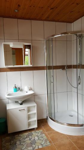 a bathroom with a shower and a sink at Zur Traube in Kestert