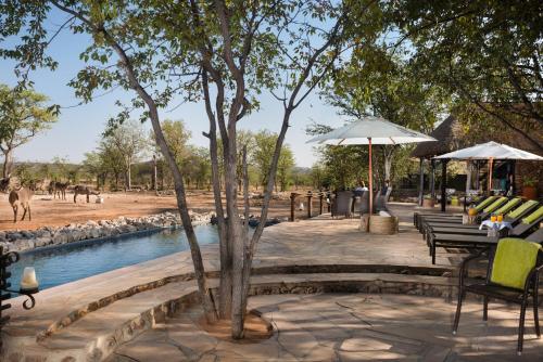 a pool of water with benches and umbrellas in front of a zoo at Ongava Tented Camp in Okaukuejo