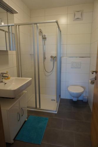 ツェル・アム・モースにあるFerienwohnung Hausleitnerのバスルーム(シャワー、トイレ、シンク付)