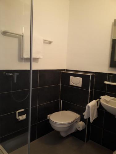 a bathroom with a toilet and a sink at Pension am Weinberg Bed & Breakfast in Mainstockheim