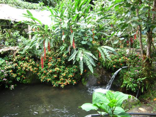 a pond in a garden with a waterfall and flowers at La Cima del Mundo in Chimirol