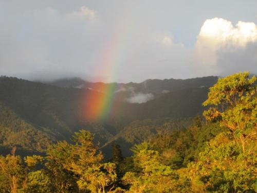 a rainbow in the middle of a valley with trees at La Cima del Mundo in Chimirol