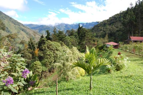 a lush green hillside with mountains in the background at La Cima del Mundo in Chimirol