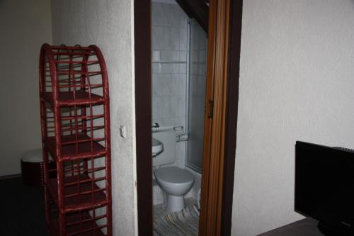Vannituba majutusasutuses Hotel Zum goldenen Stern
