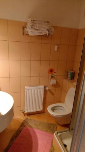 a small bathroom with a toilet and a sink at ApartmányDanielova in Česká Lípa
