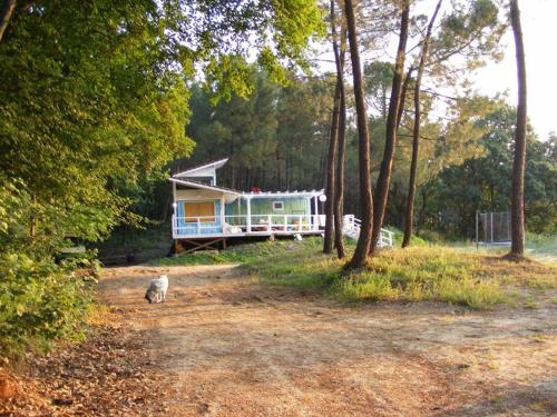 Φωτογραφία από το άλμπουμ του Ecoclub στη Βάρνα