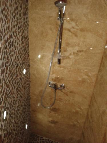 マリアーンスケー・ラーズニェにあるApartman Lidickaのバスルーム(シャワー、ホース付)