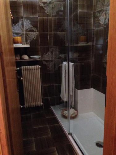 a shower with a glass door in a bathroom at B&B Casa Lisa in Miane
