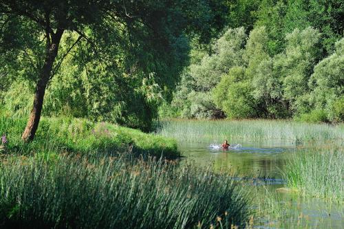 a person in a boat in the water at Sobe Zimmer Rooms Živčić in Karlovac