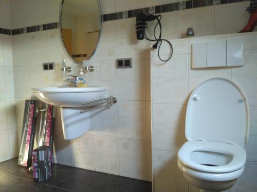 ガイレンキルヒェンにあるFerienwohnung Elina-Sophiaのバスルーム(トイレ、洗面台、鏡付)