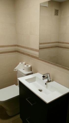 a bathroom with a sink and a toilet and a mirror at La Casina de Felix in Alles