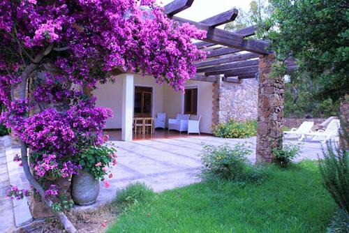 un jardín con pérgola con flores púrpuras en House Suestellas, en Teulada