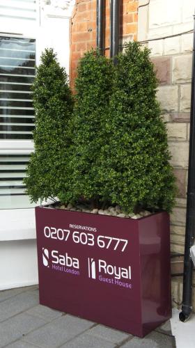 a box with two trees in front of a window at Saba Hotel London in London
