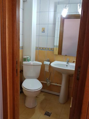 a bathroom with a toilet and a sink at Ultracentral Bucovina in Gura Humorului