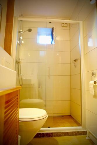 a bathroom with a shower and a toilet and a window at Kieler FeWo No.2 in Kiel