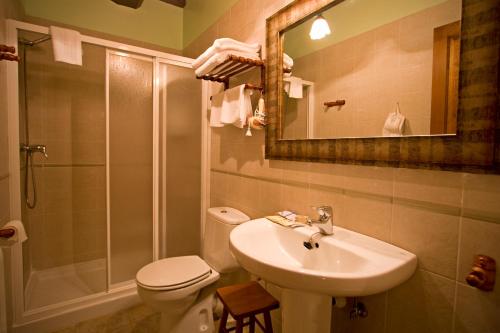 a bathroom with a sink and a toilet and a shower at Casa Rural Zigako Etxezuria in Ziga