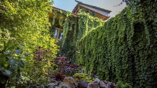 a building covered in ivy next to a garden at Hotel Caravan Serail in Samarkand