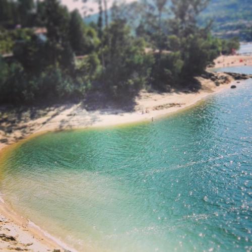 a view of a beach with trees and the water at Alojamento Por do Sol in Geres