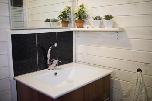 baño con lavabo, espejo y plantas en Weinberger Zimmers, en She'ar Yashuv