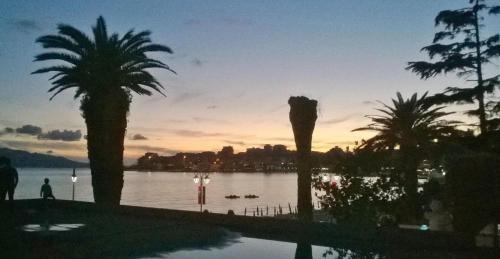 a view of a body of water with palm trees at Hotel Magllara in Sarandë