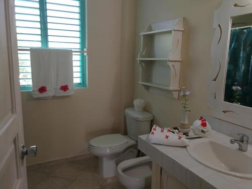 a white bathroom with a toilet and a sink at Hotel Villas Las Palmas al Mar in Las Terrenas