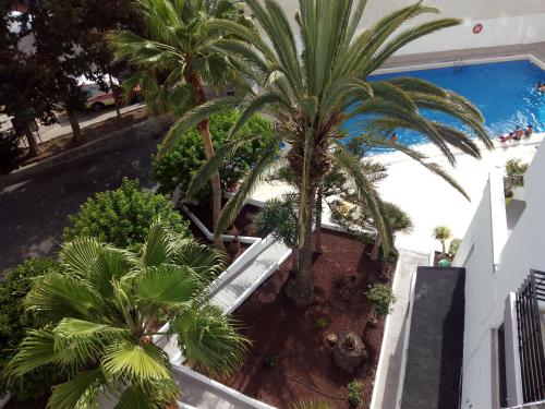 Apartamento Playa Los Cristianosの敷地内または近くにあるプールの景色