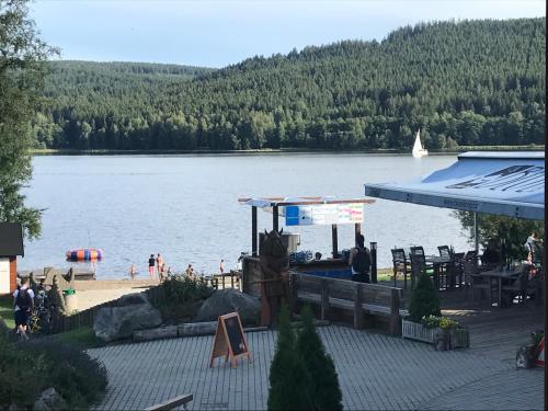 a view of a lake with a bar and a beach at Apartmány Pinie Lipno in Lipno nad Vltavou