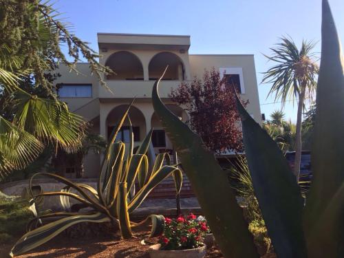 a building with a bunch of plants in front of it at B&B Brunone in Alberobello