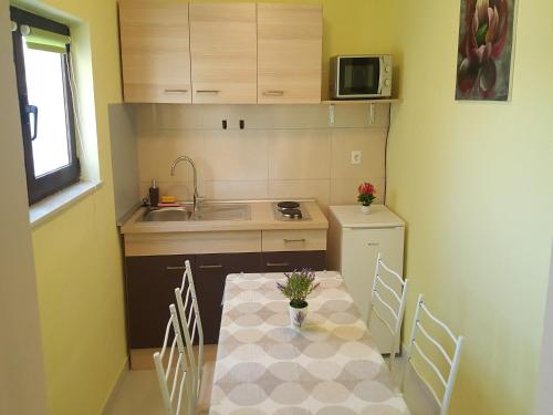 Kuchyň nebo kuchyňský kout v ubytování Apartment Silvija