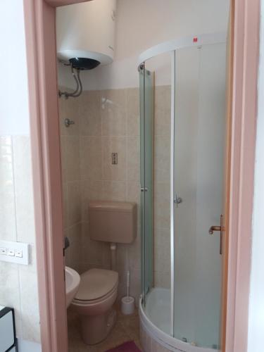 La salle de bains est pourvue de toilettes et d'une douche en verre. dans l'établissement Apartman Matić, à Ston