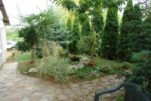 Taman di luar Casa Tomson, free parking, aproape de natura