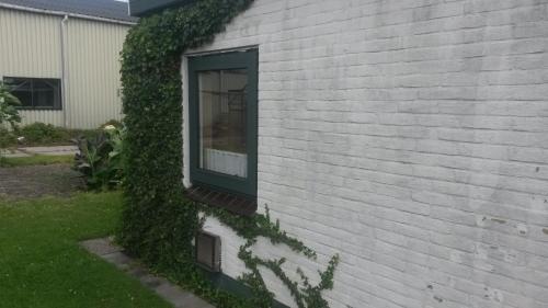 een raam met klimop aan de zijkant van een huis bij Studio in Wimmenum