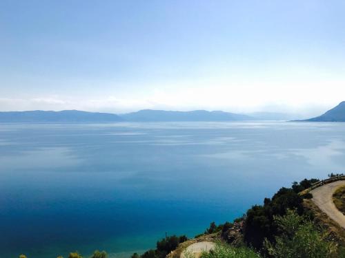 Φωτογραφία από το άλμπουμ του Calypso Beach Hotel στα Λουτρά Αιδηψού