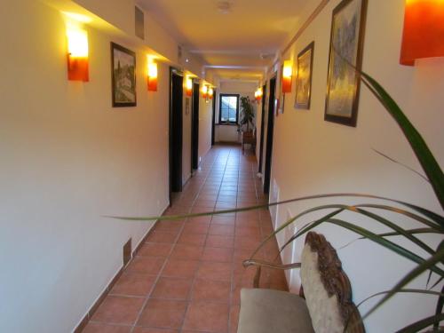 a hallway of a house with a plant in the middle at Črni Baron Pension Black Baron in Maribor