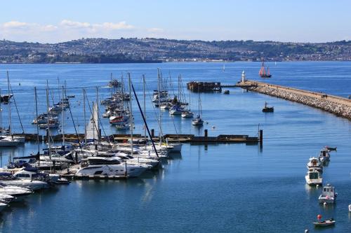a bunch of boats are docked in a harbor at Devoncourt Devoncoast SeaView Apartments in Brixham