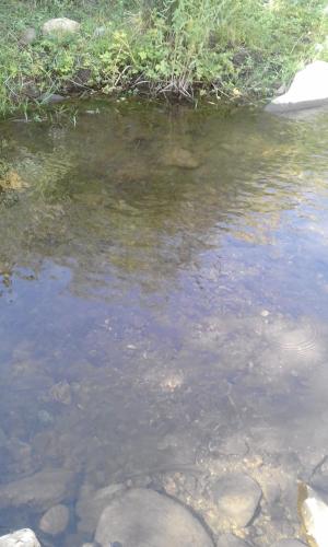 Blick auf einen Fluss in der Nähe der Pension
