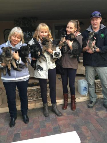 a group of people holding a bunch of puppies at TNiqua Stable Inn in Plettenberg Bay