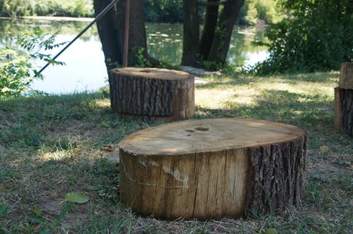 three tree stumps sitting in the grass near a body of water at Apartments Korana, BelajskePoljice in Duga Resa