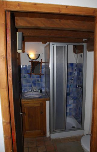 a bathroom with a shower and a sink at Maison de Dame Tartine in Issirac