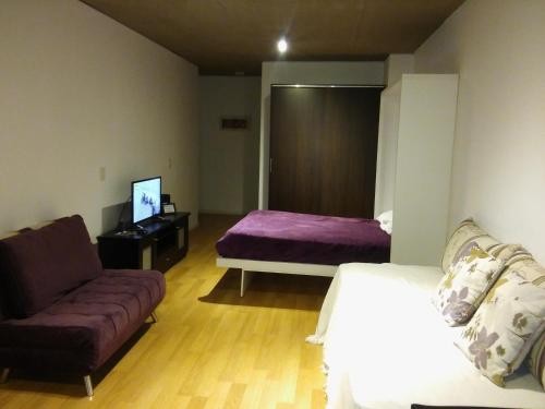 1 dormitorio con cama, sofá y TV en Departamento con Piscina a 200 mt Movistar Arena en Buenos Aires