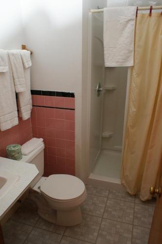 a bathroom with a toilet and a shower at Northern Peaks Motor Inn in Gorham