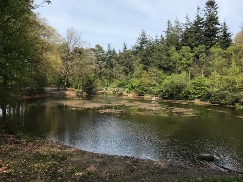 a river with trees on the side of it at Vakantiewoning Tjiftjaf in "Het Fonteinbos" in Oudemirdum
