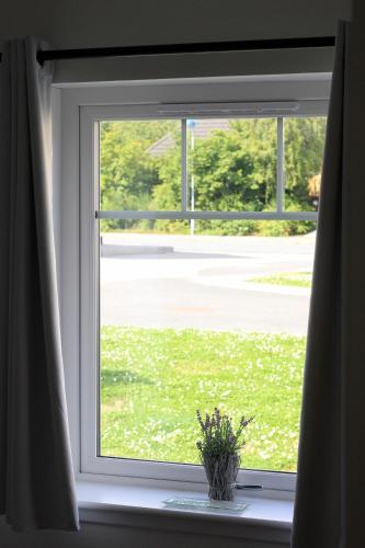 a window with a potted plant sitting on a window sill at Ventoux in Aviemore