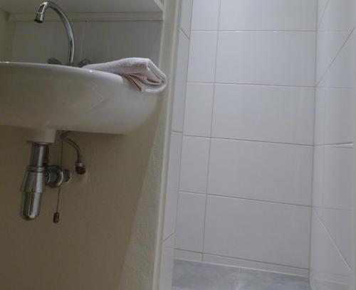 a bathroom with a sink and a shower at B&B Cantecleer Vught in Vught