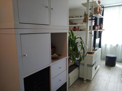 Η κουζίνα ή μικρή κουζίνα στο New Studio Apartment Sun with free parking